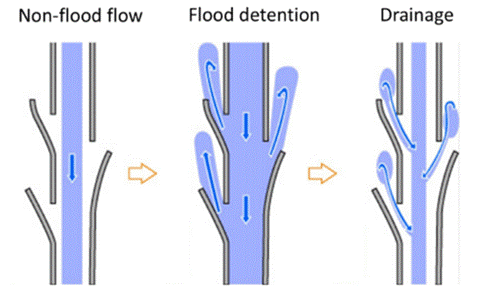 Fig. 1: Typical kasumi-tei levee arrangement (Sendo and Ishikawa, 2018)