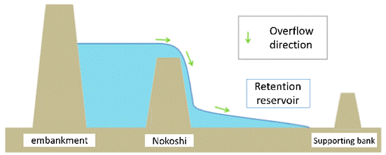 Fig. 2 Nokoshi cross-section (modified from Nakajima and Ogushi, 2012)