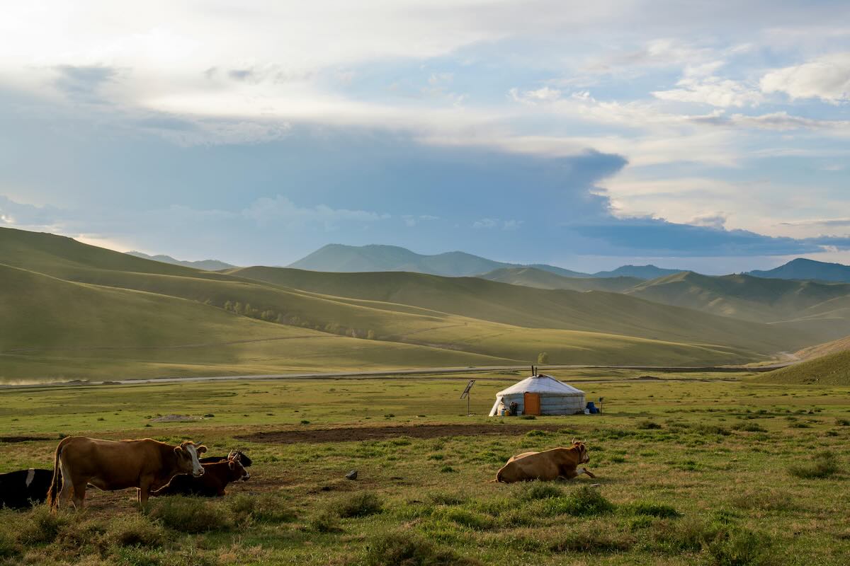 Grassland in Mongolia. Photo by munkhbayar dambajav on Pexels