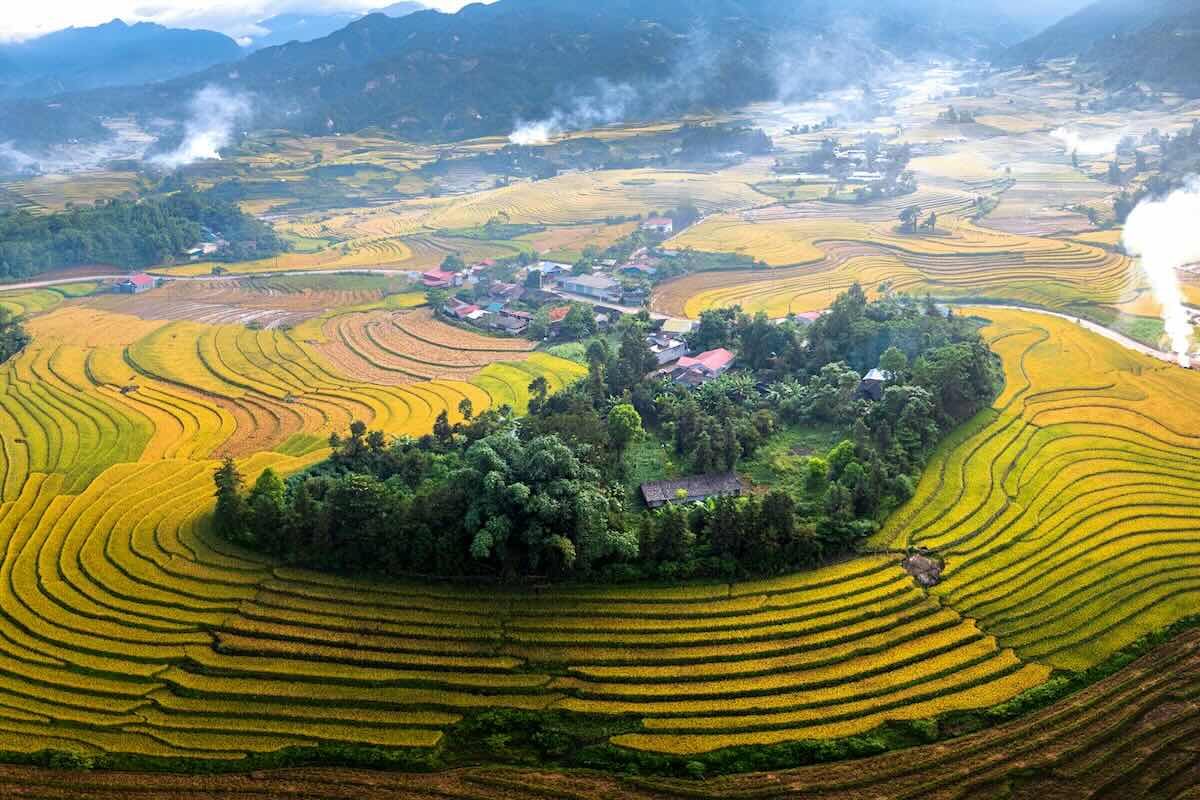 Mountainout rice fields in Vietnam. Photo by Huy Nguyen on Unsplash