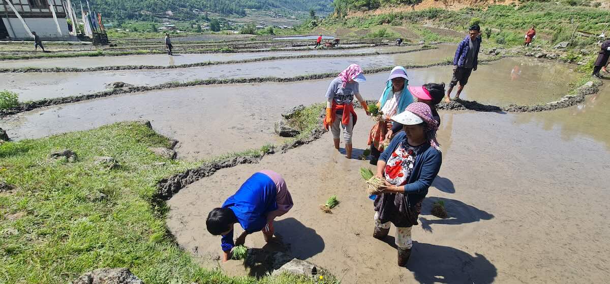A ritual site in Bhutan. Photo by Phanchung, 2023