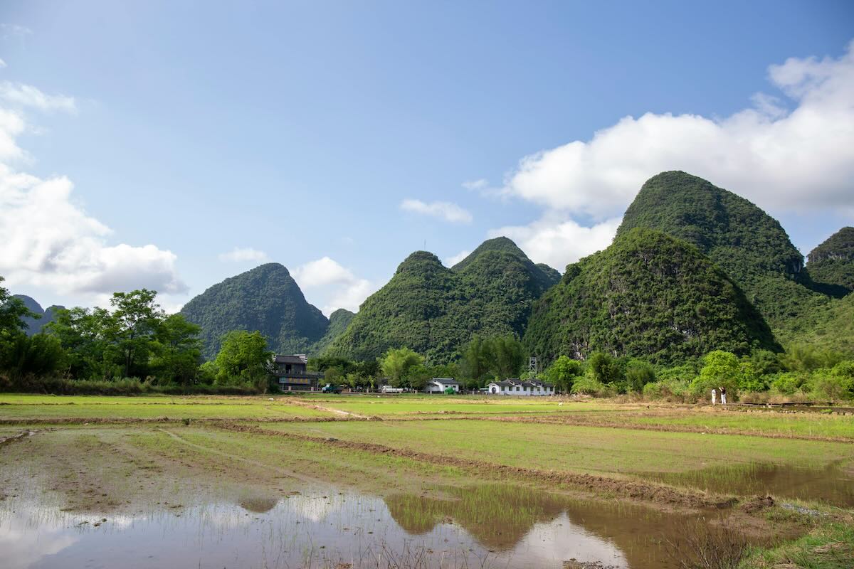 Agricultural land in China. Photo by fei wang on Pexels