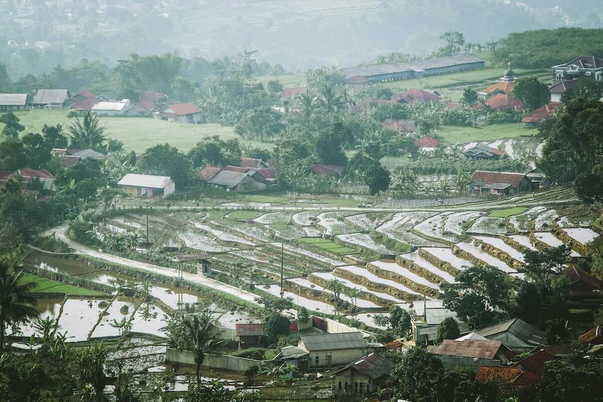 Rice paddies in Indonesia. Photo by kilarov on Unsplash