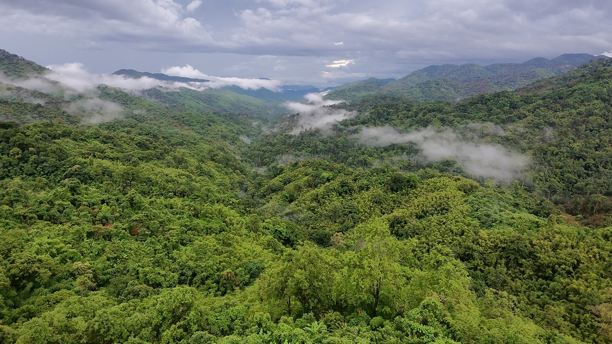 Scenery of Khlong Lan National Park, part of Thailand’s Western Forest Complex.　
© Tsubasa Iwabuchi / WWF Japan