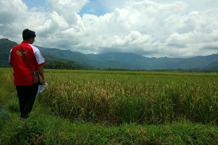 Agricultural Insurance damage assessment in East Java.