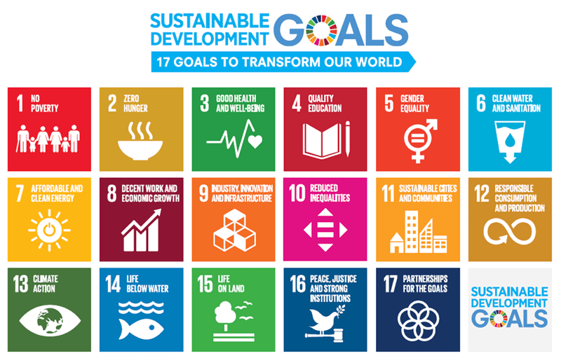 Sustainable Development Goals between 2016 and 2030