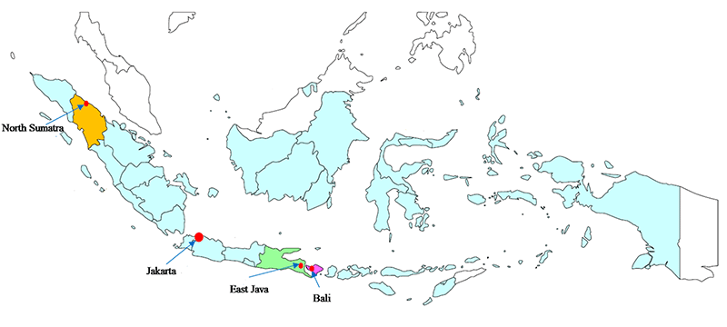 Figure 1. Target regions: North Sumatra (orange), East Java (green), and Bali (pink)