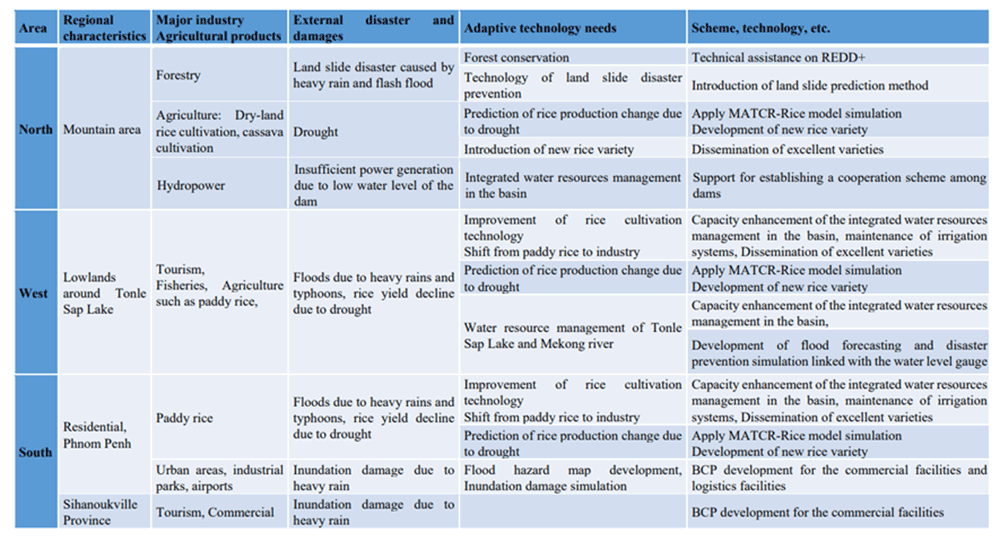 Example of the adaptation needs matrix