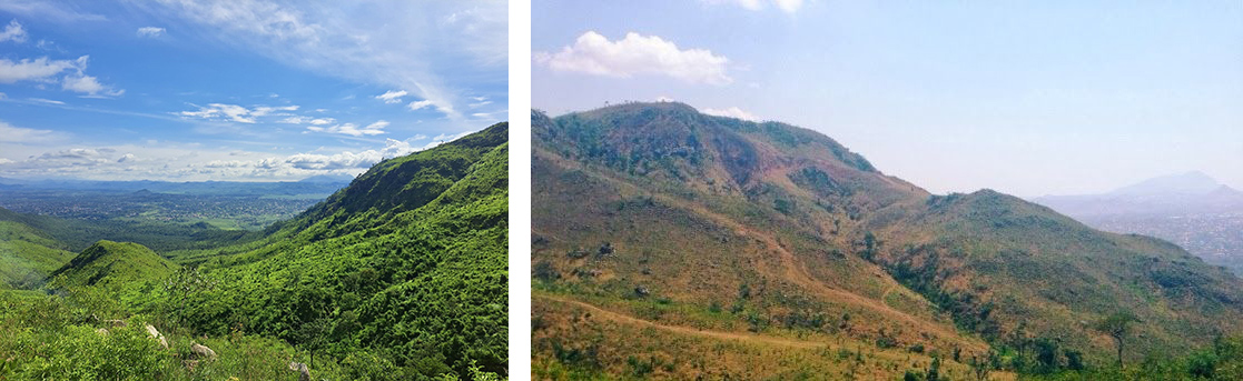 Michiru Mountain Reserve is rich in lush greenery, while the image on the right shows signs of deforestation.