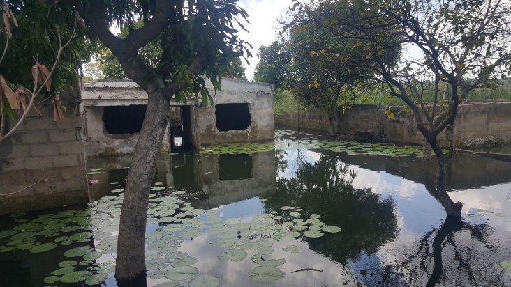 Floods in Sentinhama neighborhood in Maputo city.