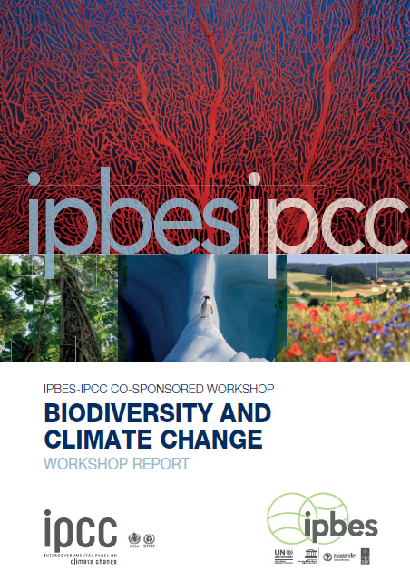 IPBES-IPCC Joint Workshop Report