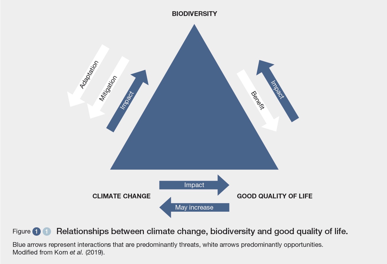 Global patterns of impacts in recent decades attributed to climate change