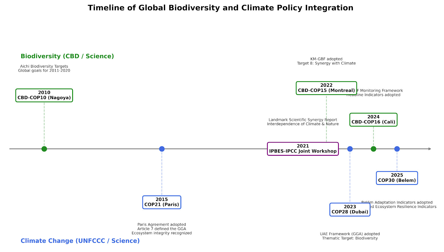 The timeline above illustrates how scientific milestones and policy milestones under the UNFCCC and CBD have converged to form a unified roadmap for synergy.