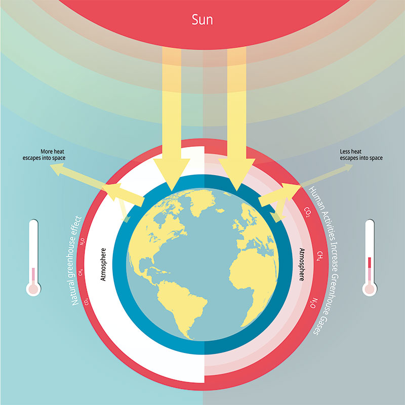 Mechanism of the greenhouse effect