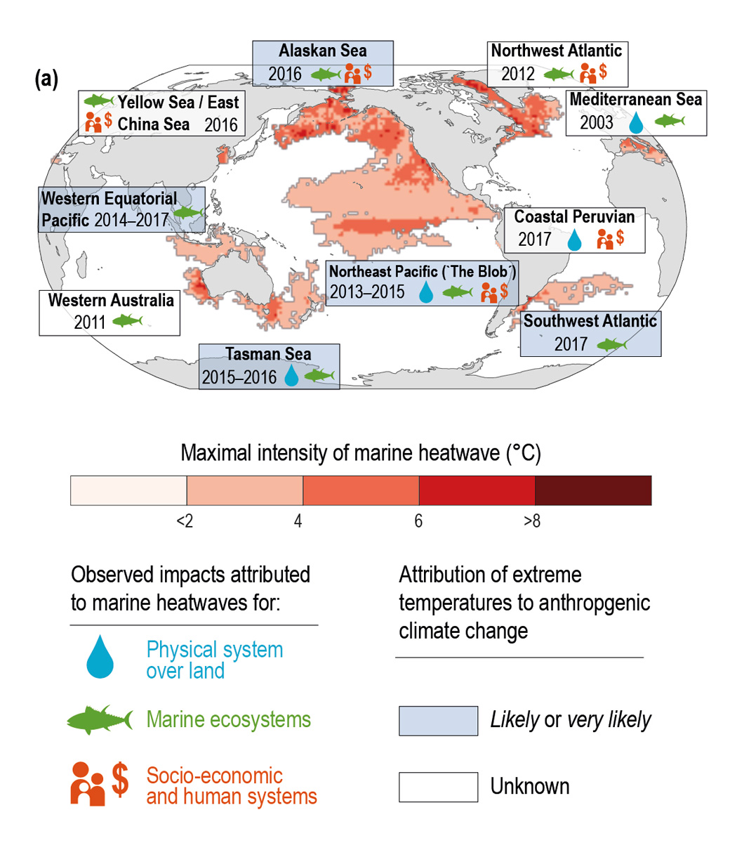 Examples of documented marine heatwaves (MHWs) over the last two decades / IPCC, Special Report on the Ocean and Cryosphere in a Changing Climate TS.6 Extremes, Abrupt Changes and Managing Risks