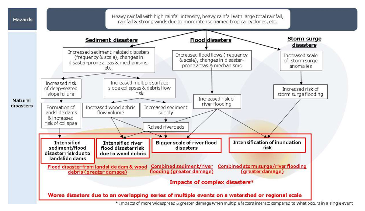 Examples of impacts of complex disasters