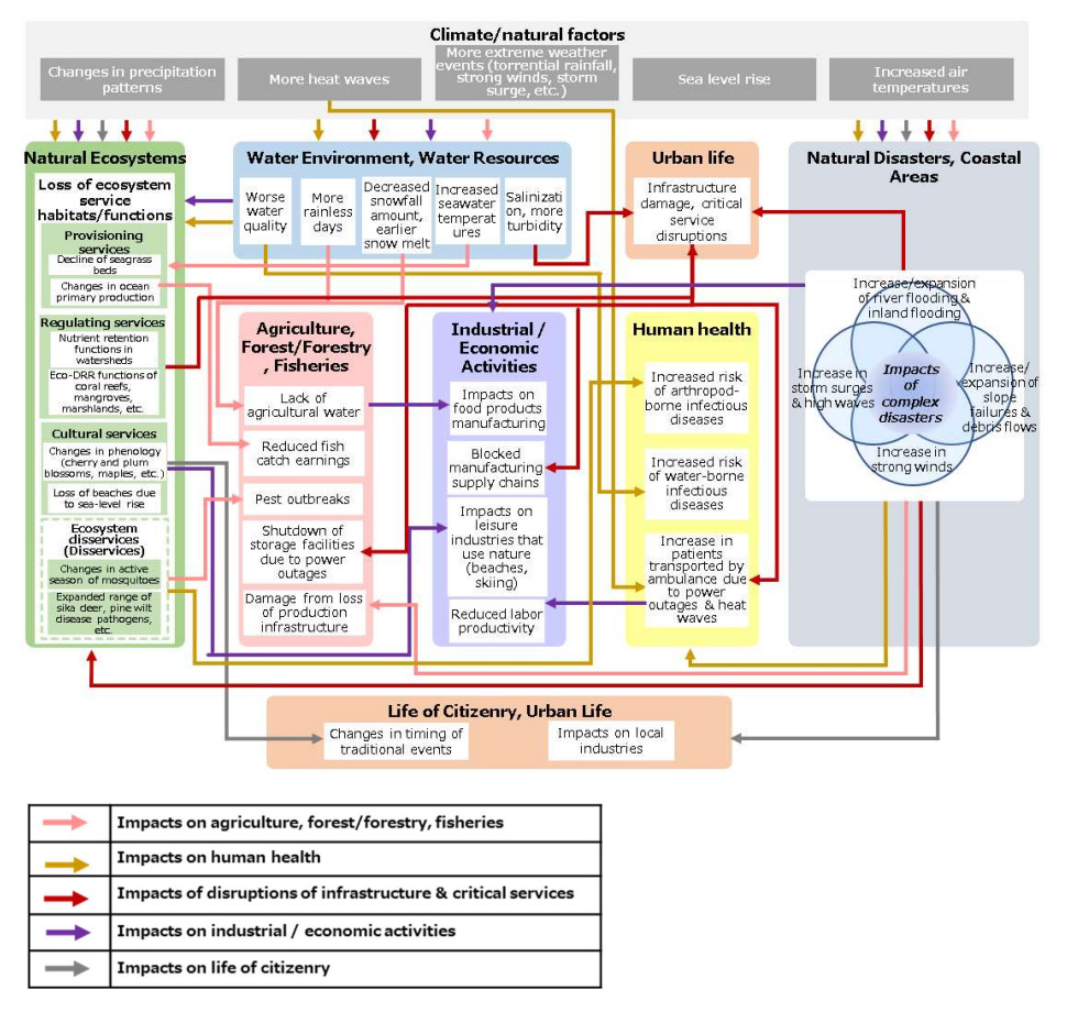 Examples of linkages of impacts among sectors