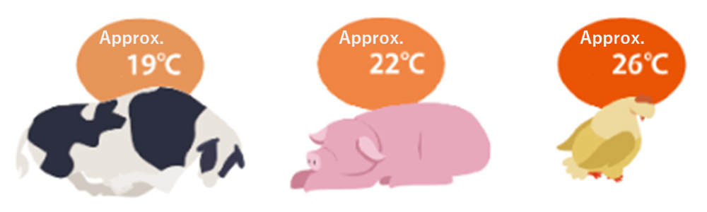 Temperatures at which livestock and poultry feel heat stress