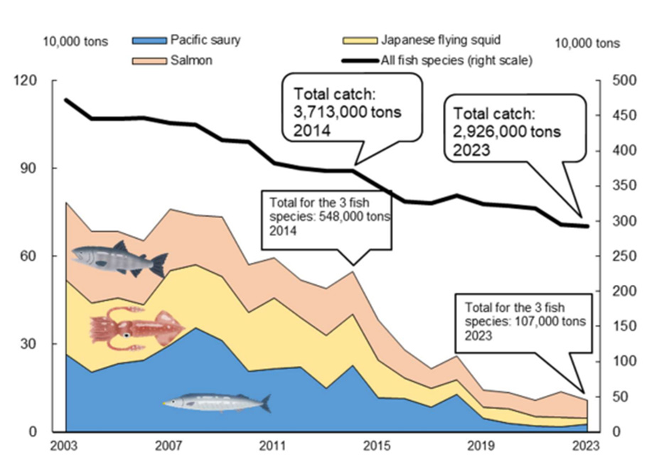 Trends in Catches of Pacific Saury, Japanese Flying Squid, and Salmon