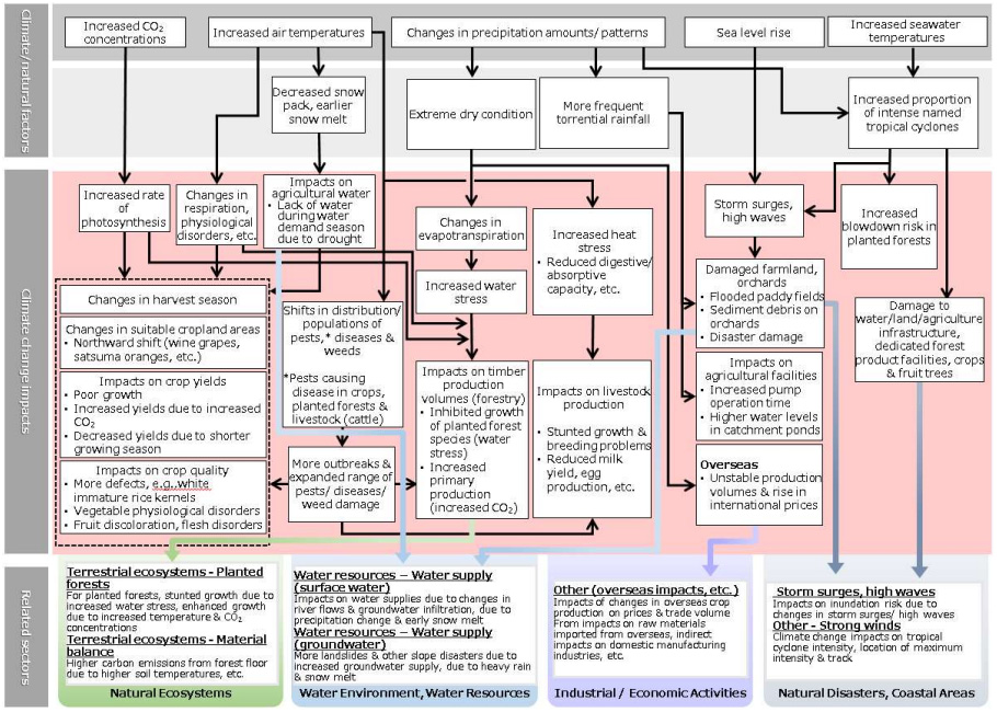 Schematic of projected impacts of climate change (Agriculture and forestry)