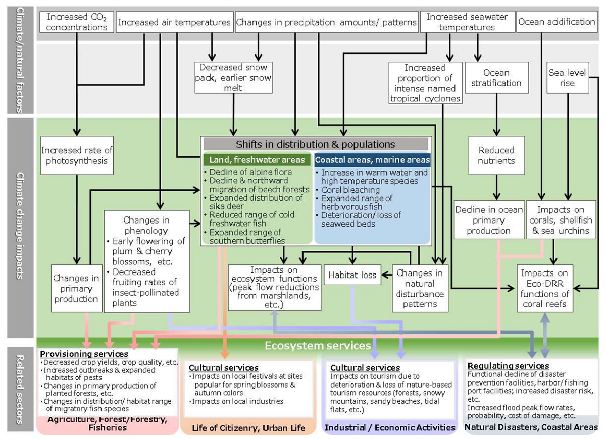 Schematic of projected impacts of climate change (Natural ecosystems)