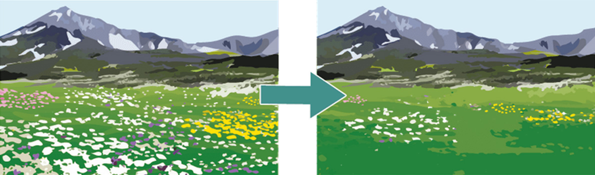 Decline of alpine wetland plant communities