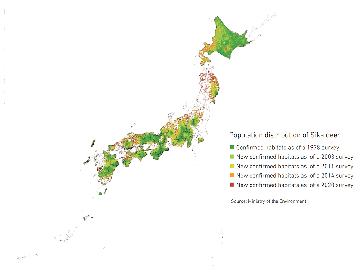 Expanding Distribution of Sika Deer