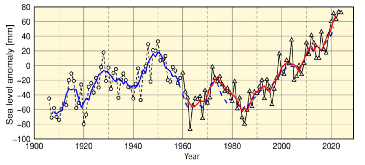 Time-series representation of annual mean sea level around Japan (1906 - 2024)