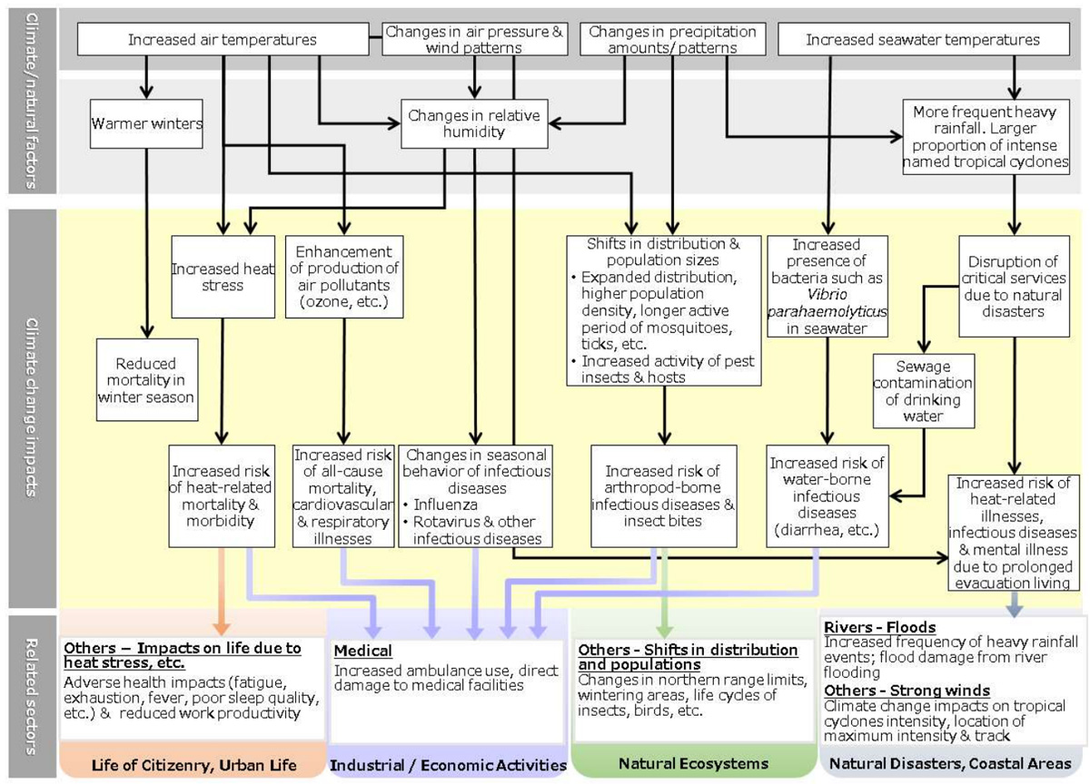 Schematic of projected impacts of climate change (Human health)
