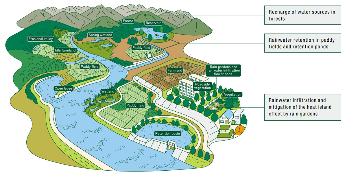 Eco-DRR activities focused on the Ecosystem Conservation/Restoration Potential Map