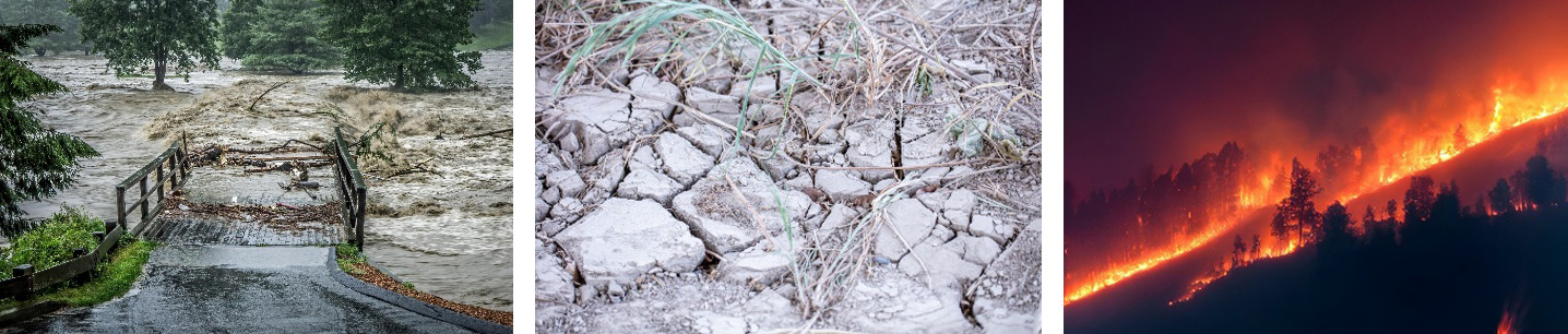 Extreme events and unavoidable consequences worldwide.