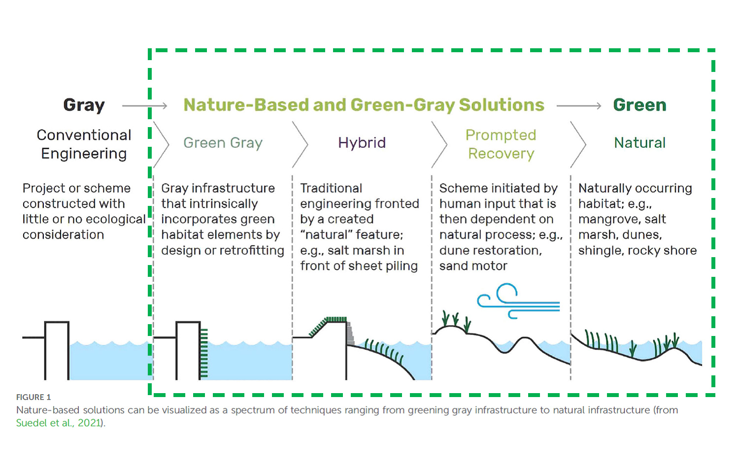 Nature-based solutions can be visualized as a spectrum of techniques ranging from greening gray infrastructure to natural infrastructure (from Suedel et al., 2021).