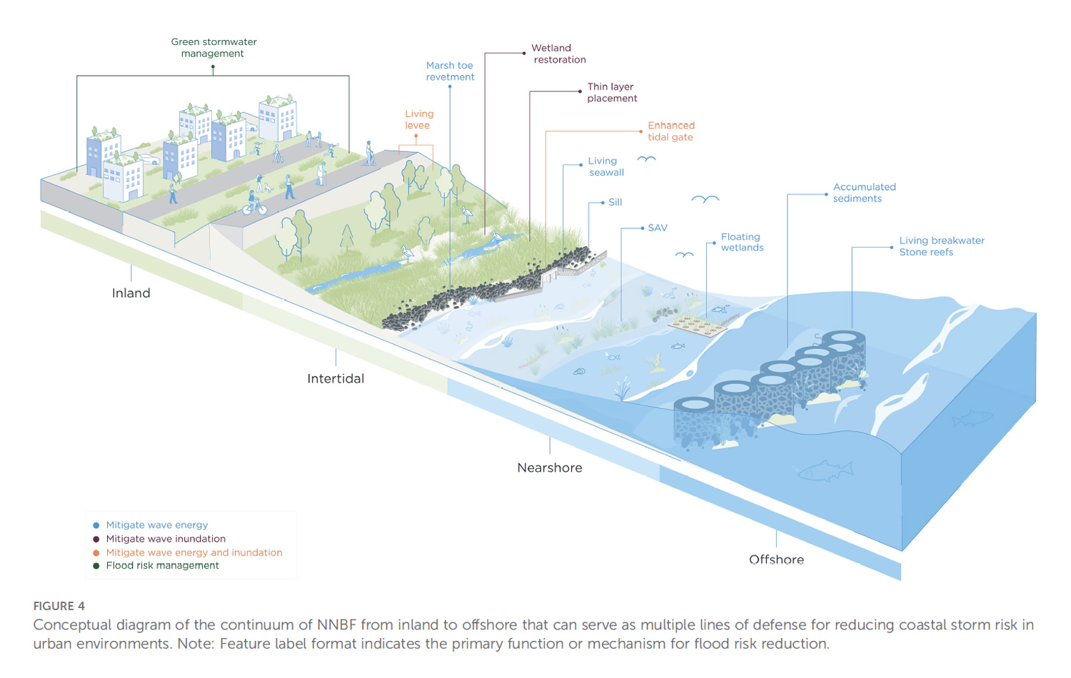 Conceptual diagram of the continuum of NNBF from inland to offshore that can serve as multiple lines of defense for reducing coastal storm risk in urban environments. Note: Feature label format indicates the primary function or mechanism for flood risk reduction.