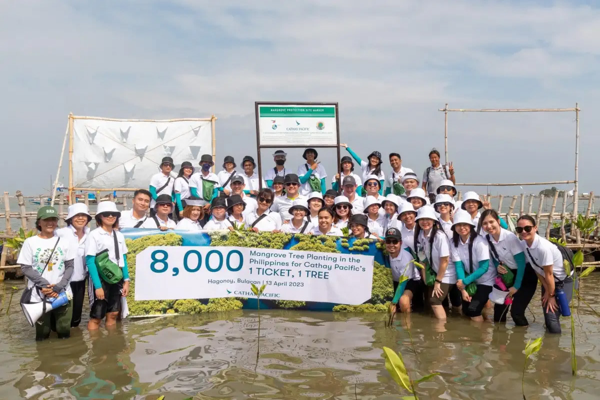Image photo of mangrove reforestation project, ONE CHILD, ONE TREE.