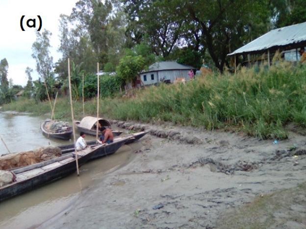 (a)Image photo of Use of Terrestrial Vegetation, CERP in Bangladesh.