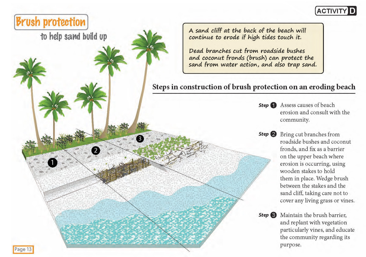 Concept of brush protection in Pacific Island Countries (with beach revegetation).