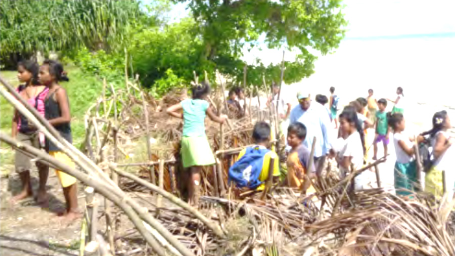 Image photo of brush protection, Abaiang, Kiribati.