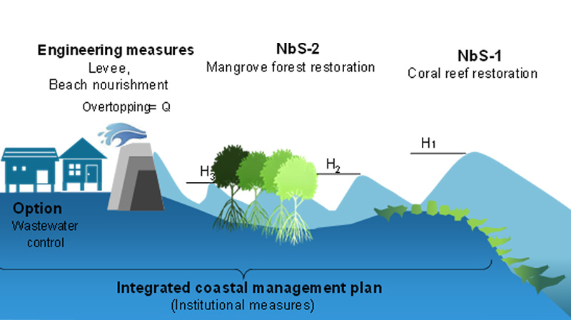 Concept of wave-breaking effect of coral reefs, etc.