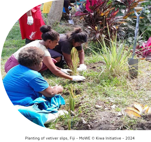 A hybrid coastal protection “nature-based seawalls” in Fiji.
