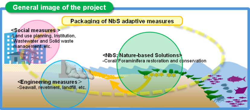 Fig. 1. Overview of the research project.