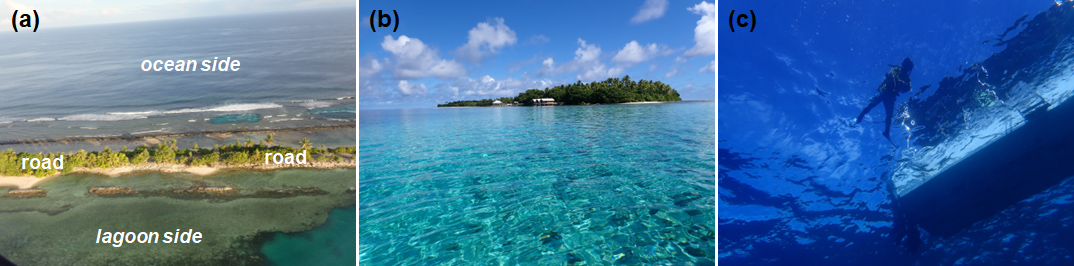 Fig. 3. Scenery of Majuro Atoll.